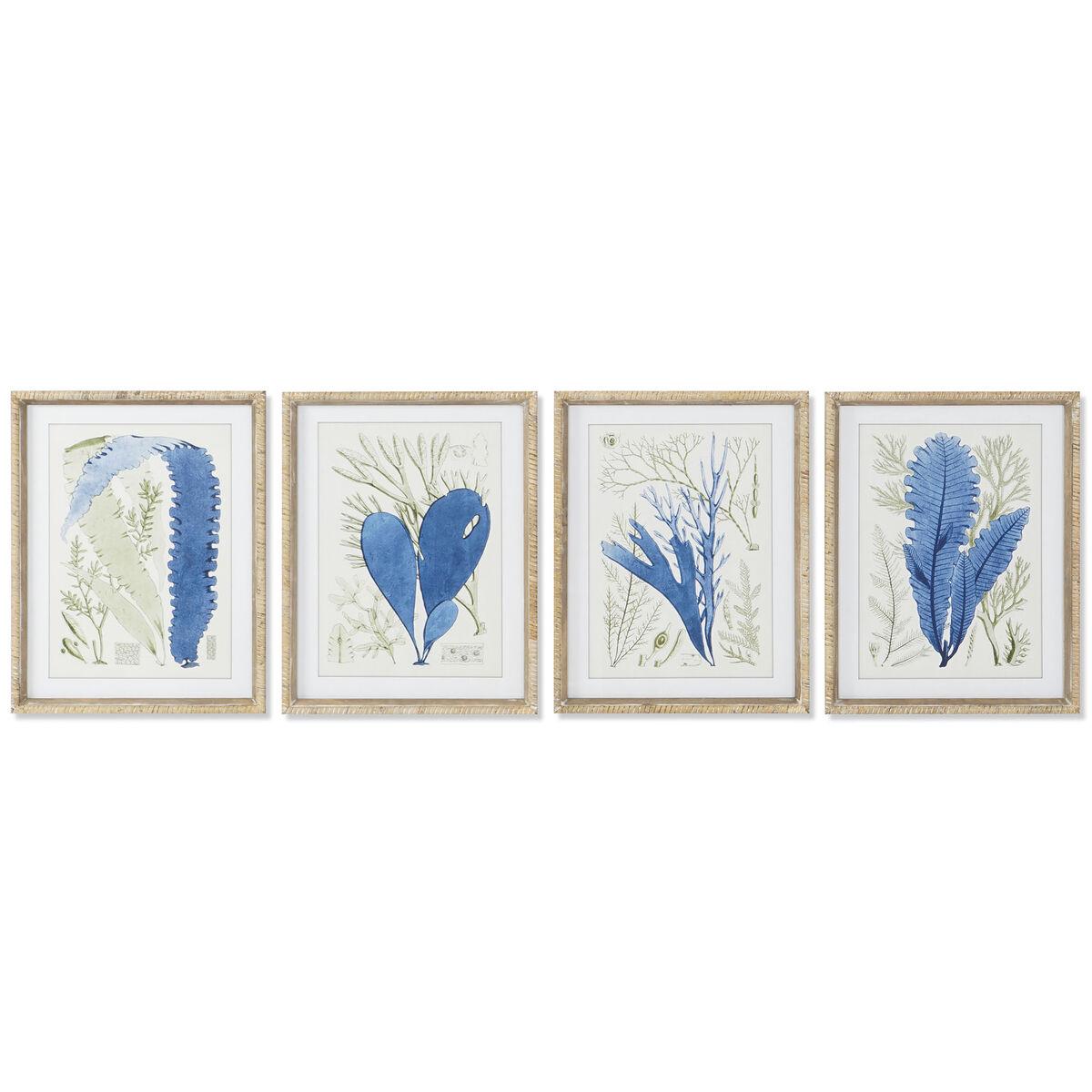 Maleri Home Esprit Middelhavet Enheder - Maleri  - 8424002109721