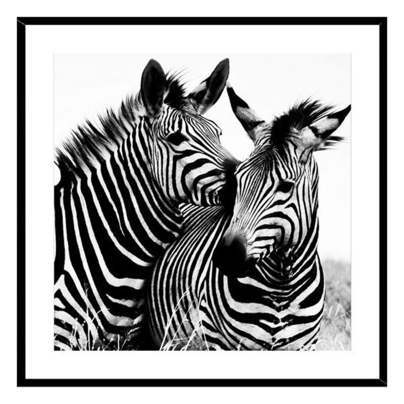 Maleri Zebra Krystal - Versa Maleri  - 8420327471253