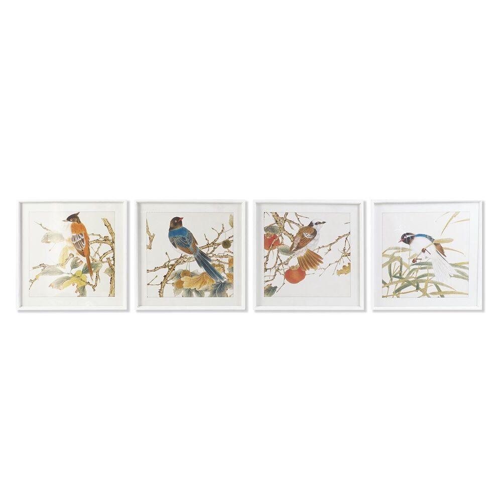 Maleri Fugl Shabby Chic Enheder - Dkd Home Decor Maleri  - 8424001933600