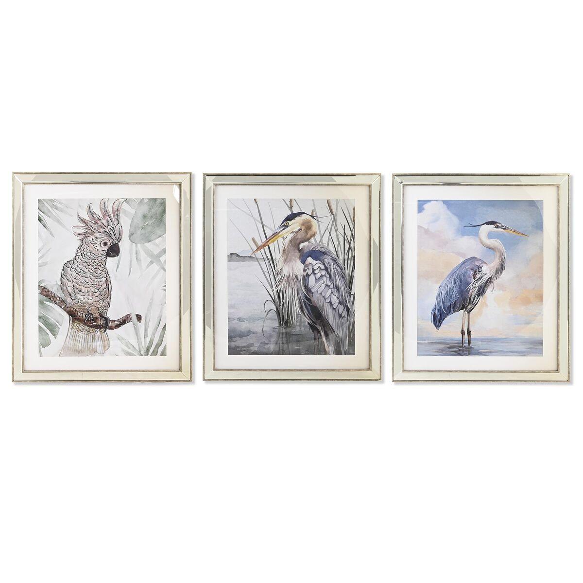 Maleri Fugle Middelhavet Dele - Dkd Home Decor Maleri  - 8424002013943