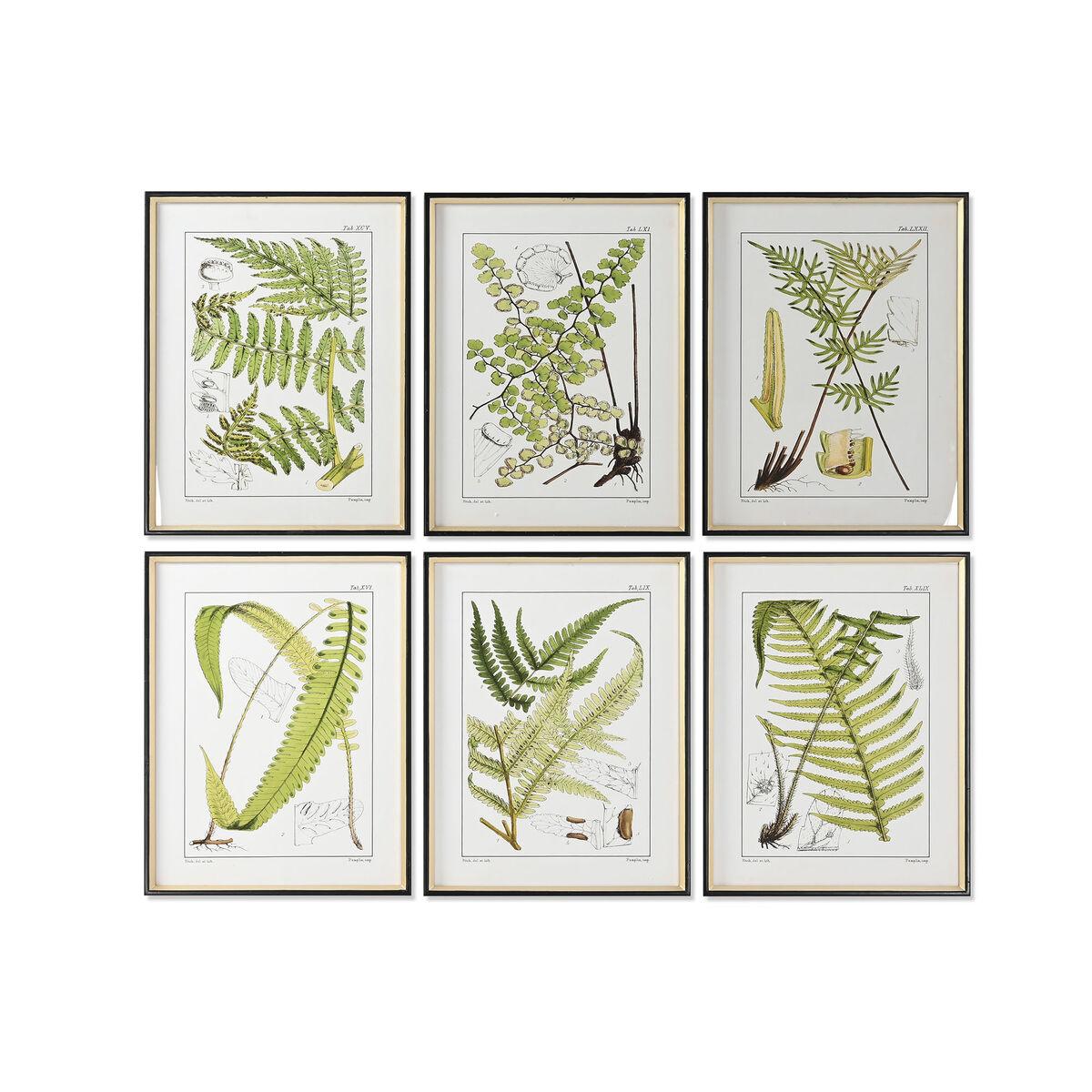 Maleri Home Esprit Moderne Bregne Enheder - Maleri  - 8424002120764