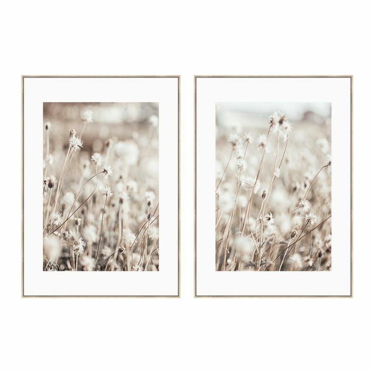 Maleri Cvetlice Skandinavisk 100 Enheder - Dkd Home Decor Maleri  - 8424002013783